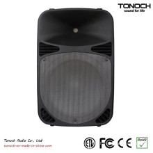 Professional 12 Inch PA Speaker Box